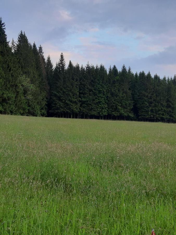 Ferienwohnung "Voelkl" Tannesberg Экстерьер фото